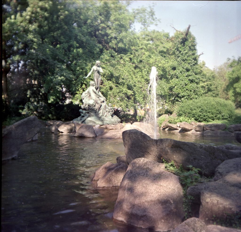 Certo Certina mit Fujifilm Pro 400 H, entwickelt mit Cinestill CS41 -- Im Nymphengarten in Karlsruhe