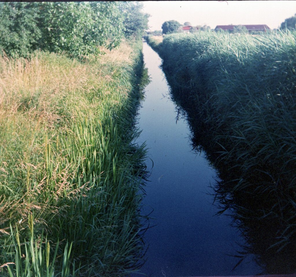 Entwässerungsgraben bei Stutensse - Braun Paxina - Agfachrome RSX II 100