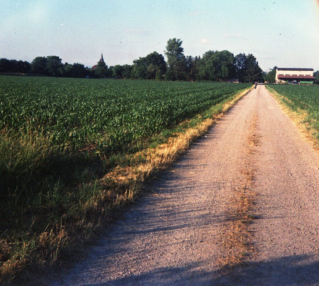 Feldweg und Feld - Braun Paxina - Agfachrome RSX II 100