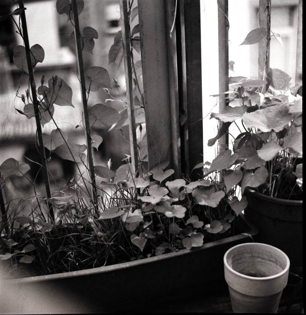 Balkon 1 -Seagull 4A - Fomapan 100