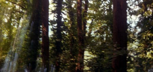 Druopta-PionyrII-Ektachrome160-Doppelbelichtung