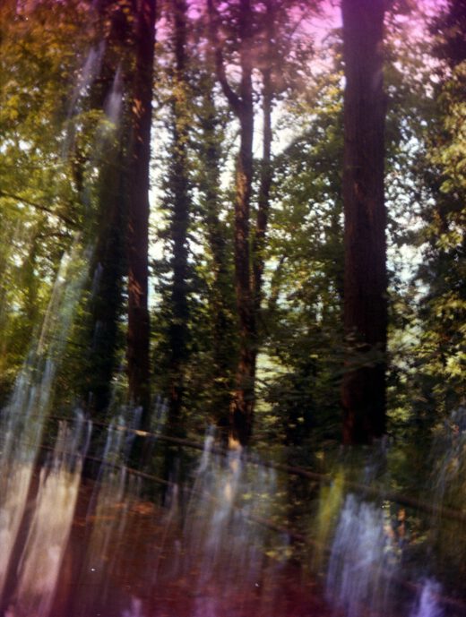 Druopta-PionyrII-Ektachrome160-Doppelbelichtung